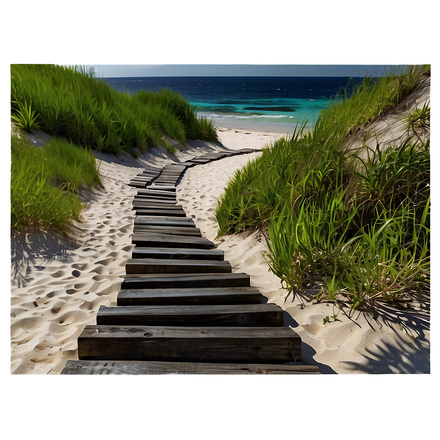 Tranquil Beach Path Png Njk PNG