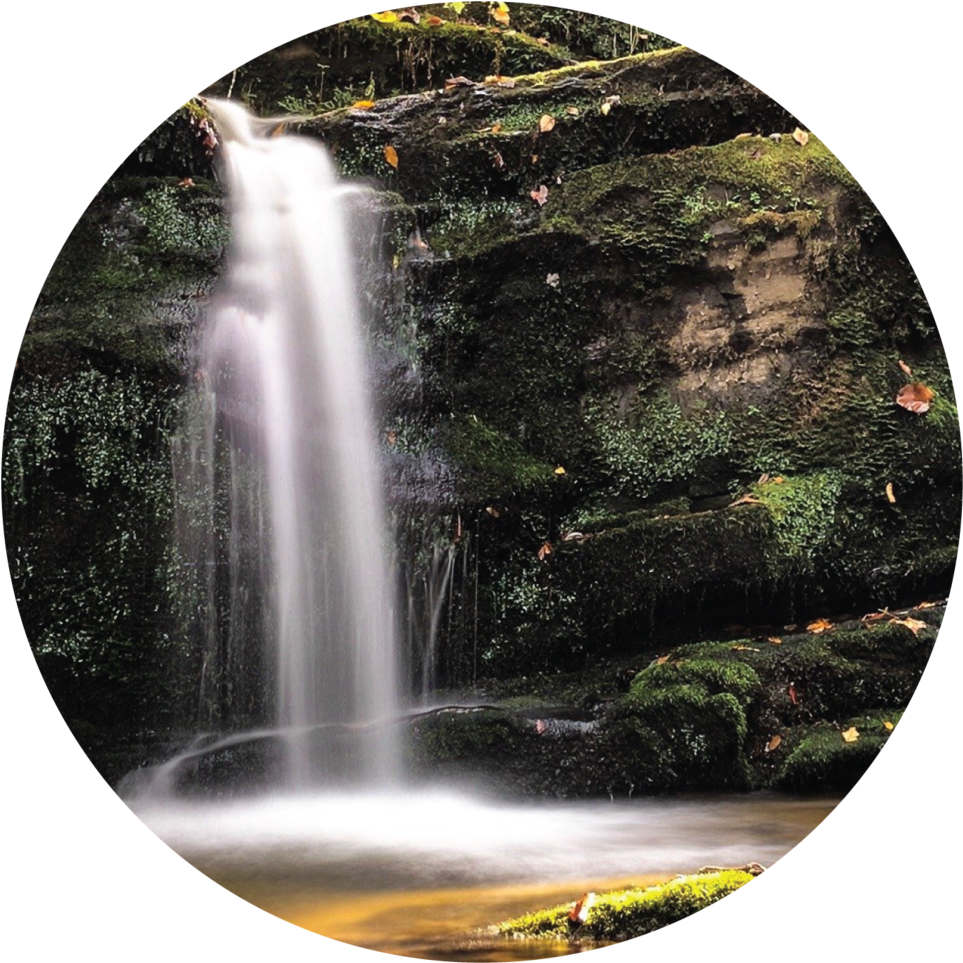 Tranquil Forest Waterfall PNG