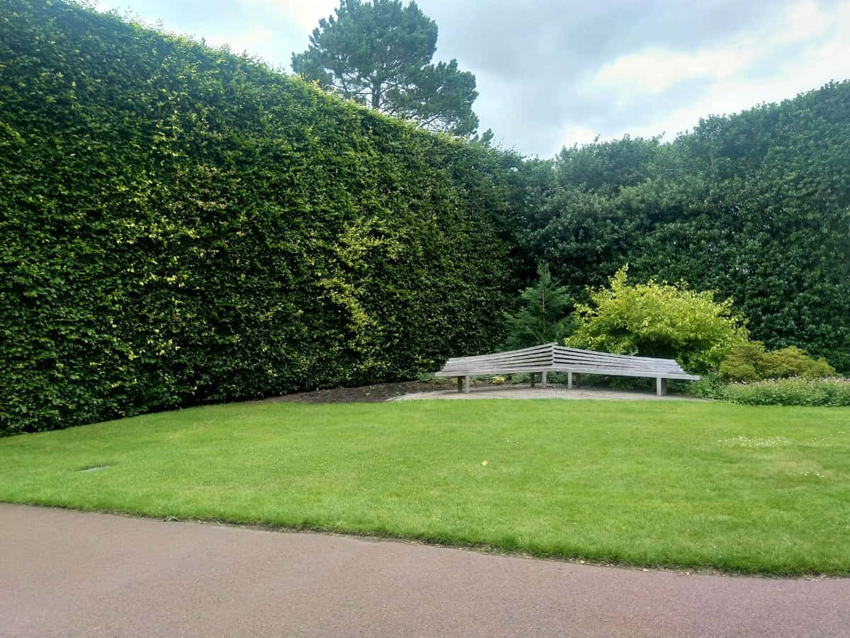 Tranquil Garden Bench Royal Botanic Garden Edinburgh Wallpaper