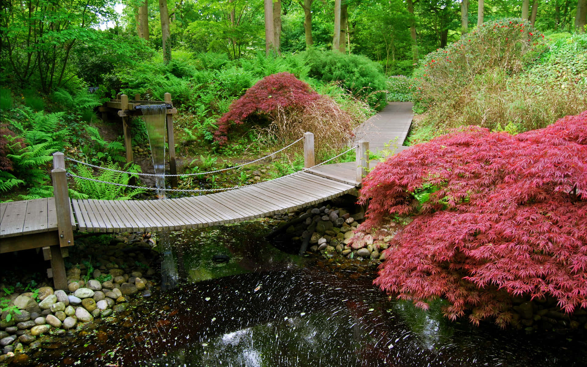 Tranquil Japanese Garden Bridge Wallpaper