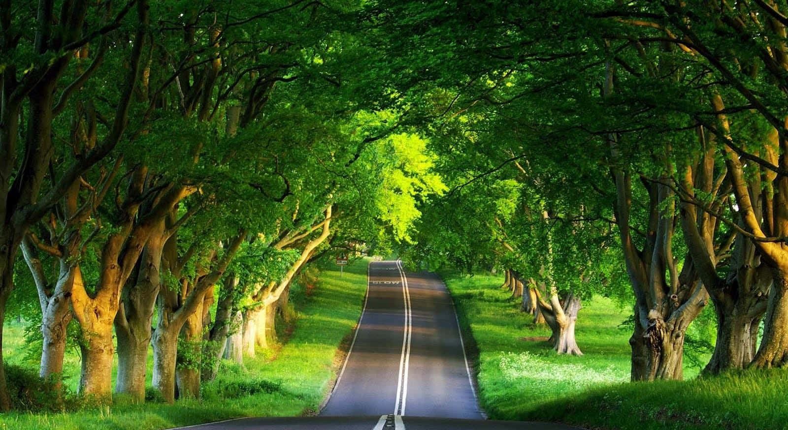 Tranquil Journey - An Enthralling View Of A Serene Road Wallpaper