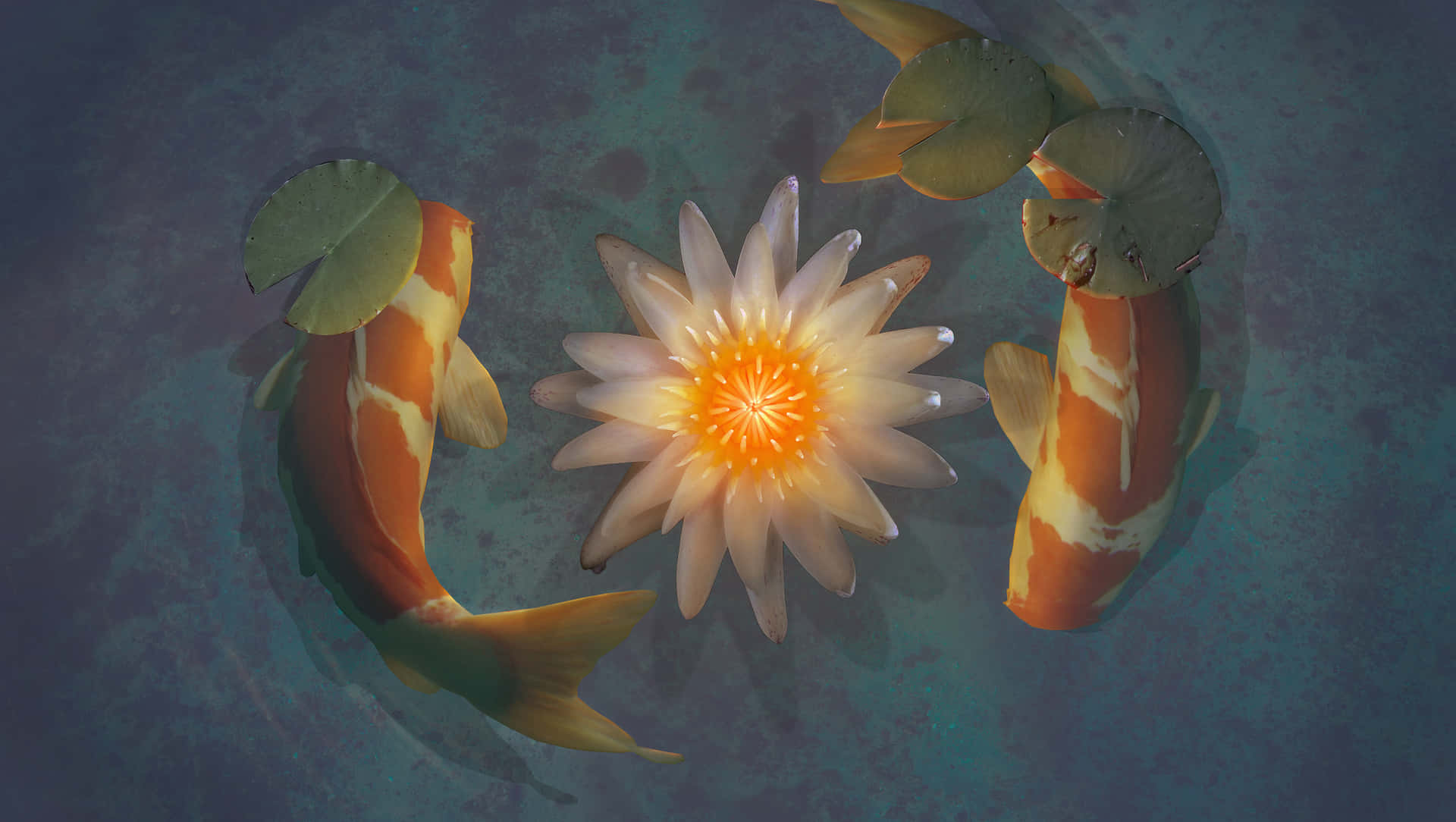 Tranquil_ Koi_and_ Lotus_ Pond Wallpaper