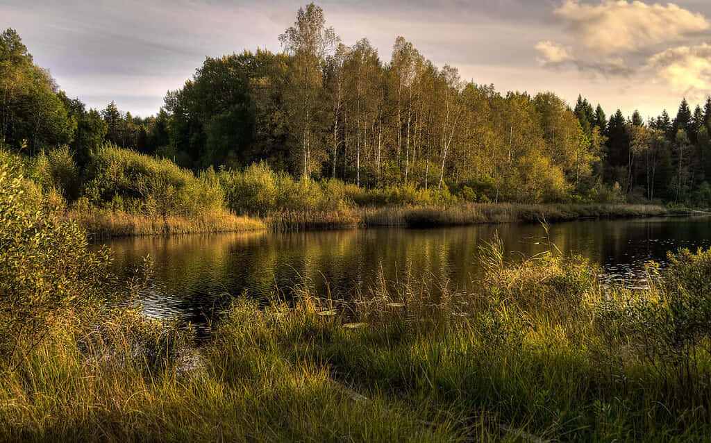 Tranquil Lake Arendal Norway Wallpaper