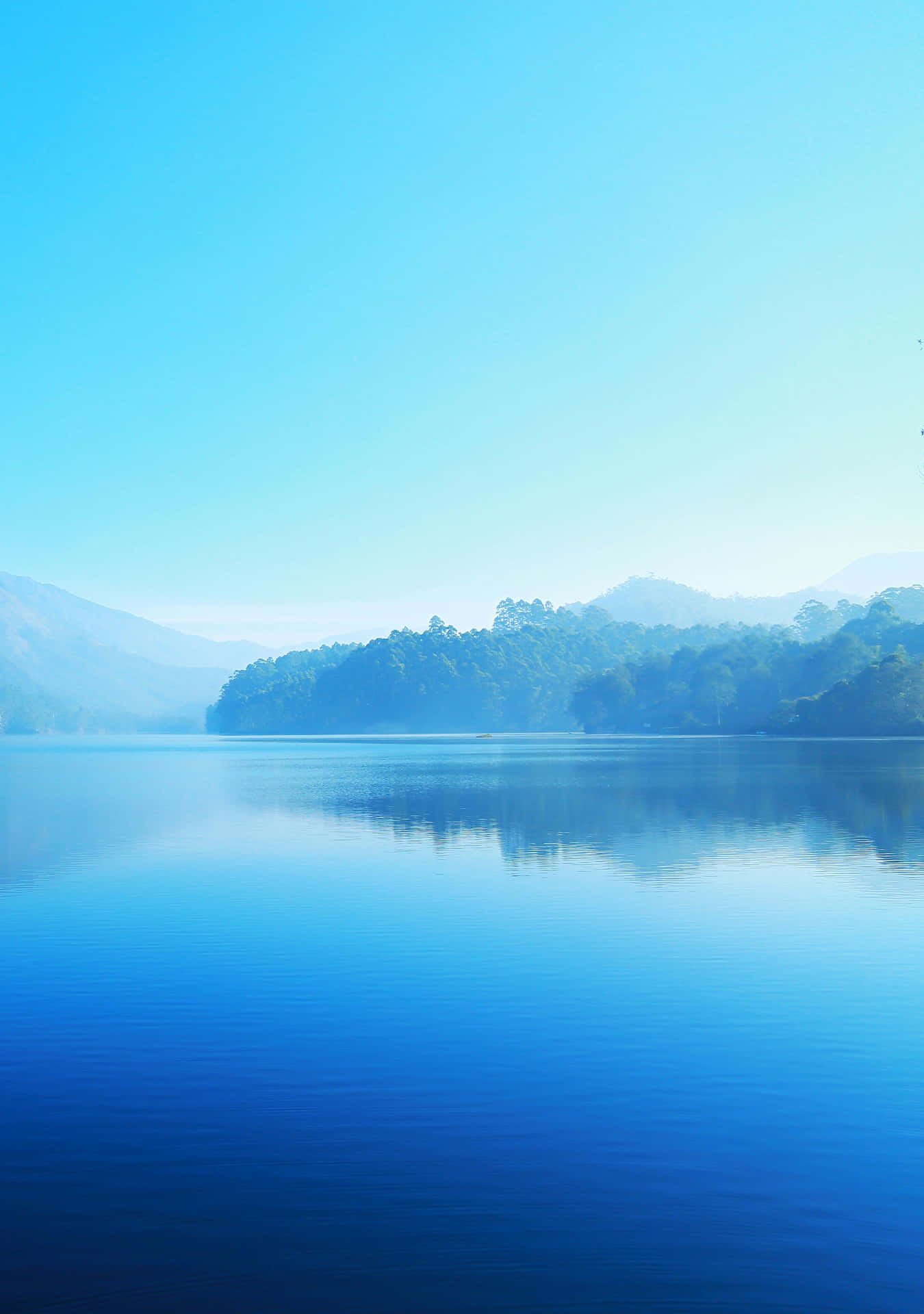 Tranquil Meer Ochtend Mist Achtergrond