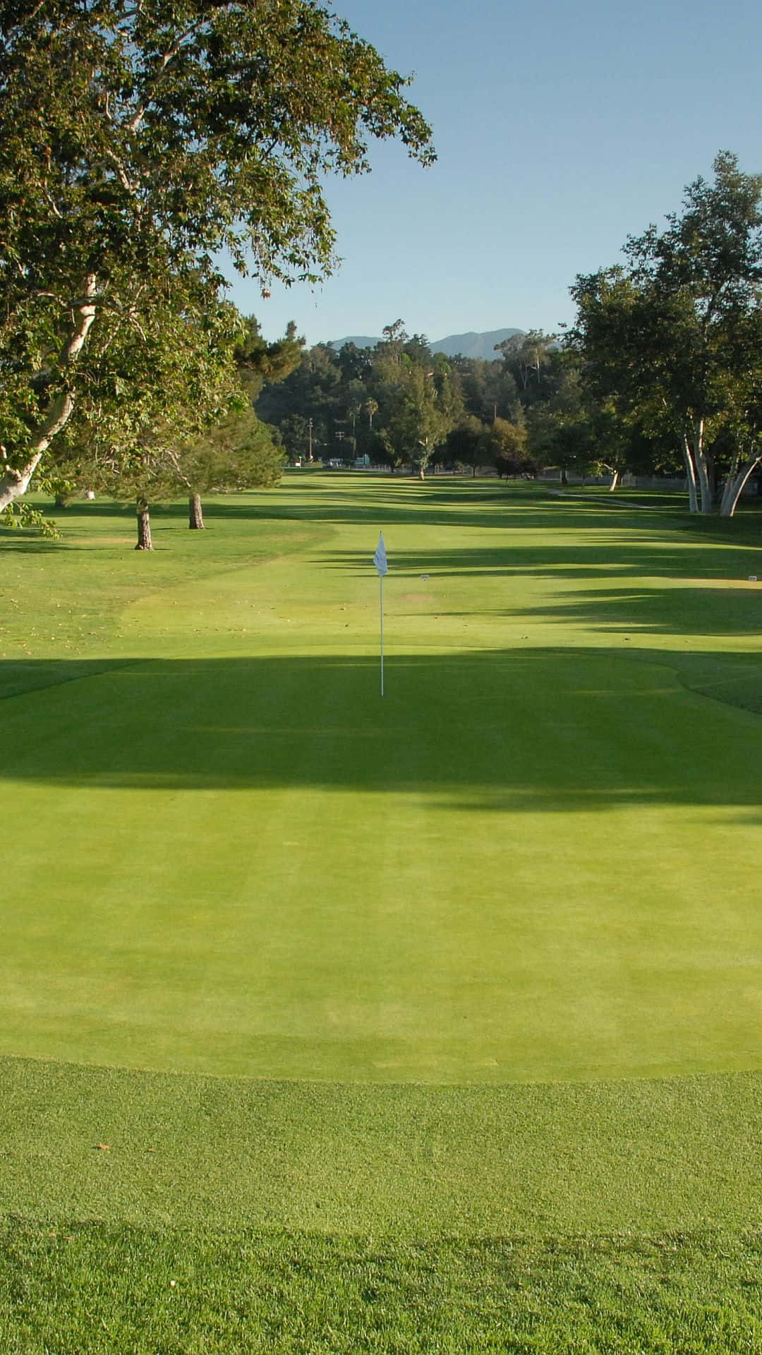 Tranquil Morning On The Golf Course