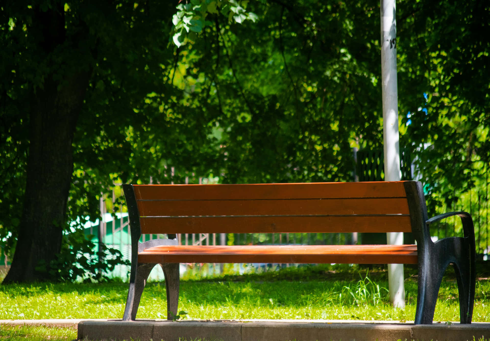 Banc De Parc Tranquille Entouré De Verdure Fond d'écran