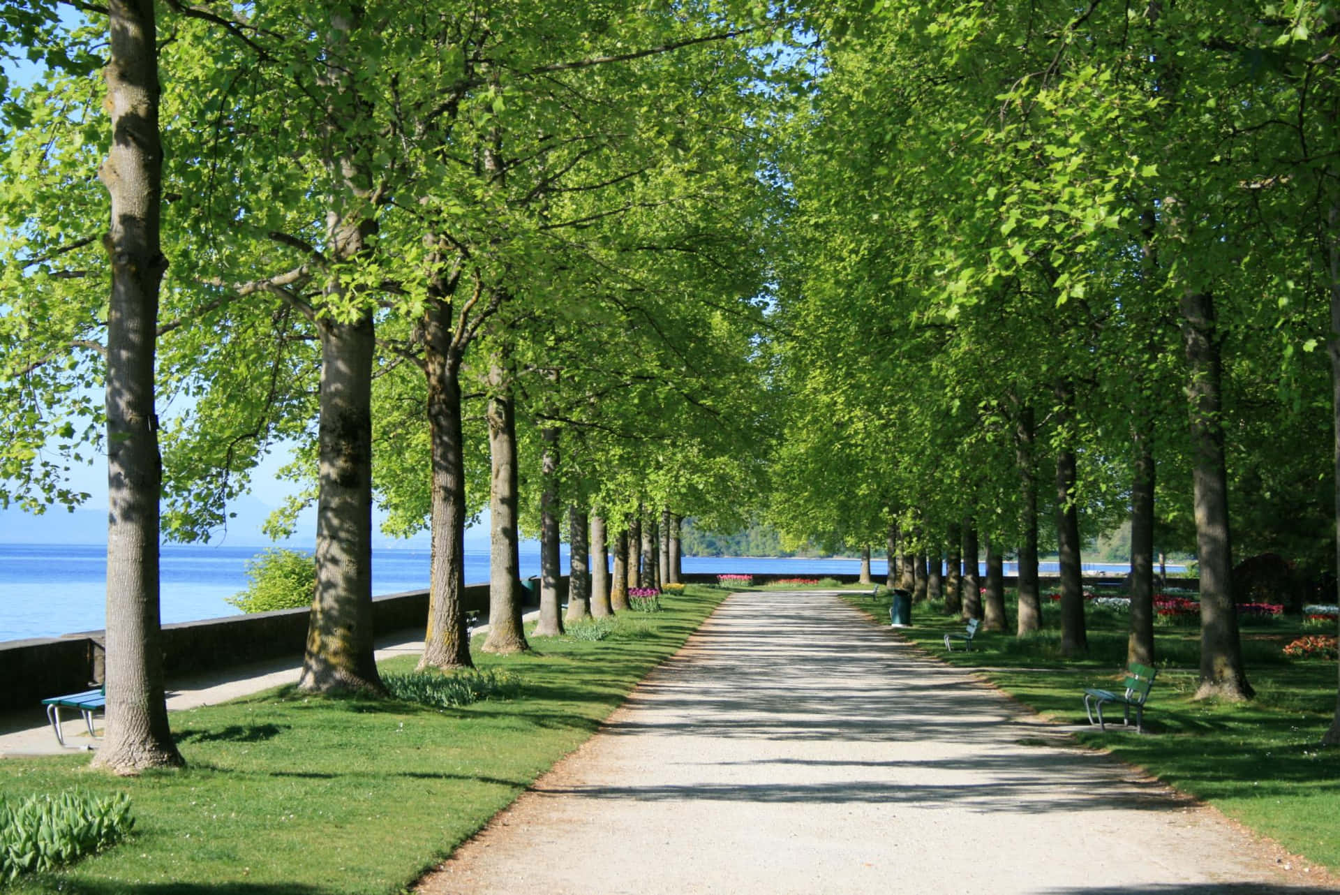 Chemin Tranquille Au Bord De L'eau Fond d'écran