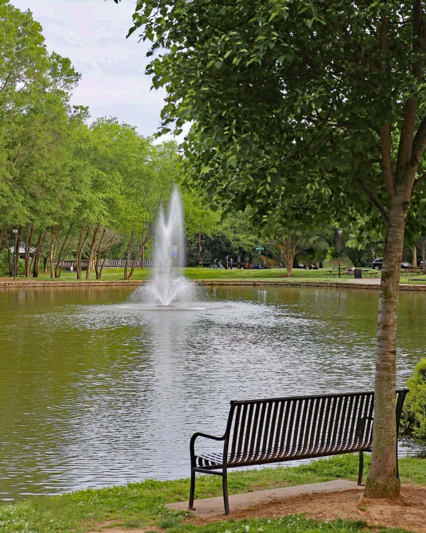 Tranquil Park Scenewith Fountain Wallpaper
