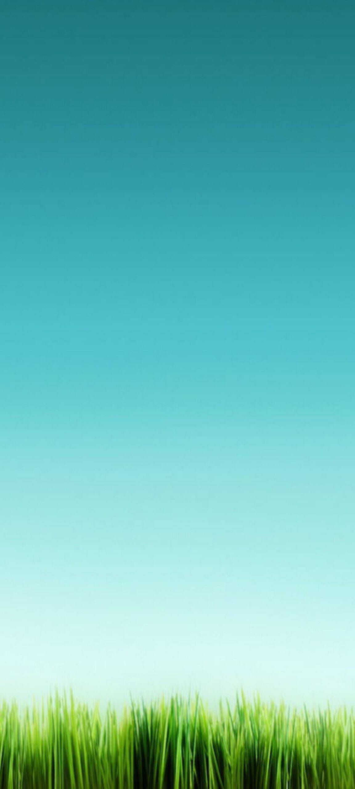 Tranquil Skyline For Oneplus 8 Pro Wallpaper