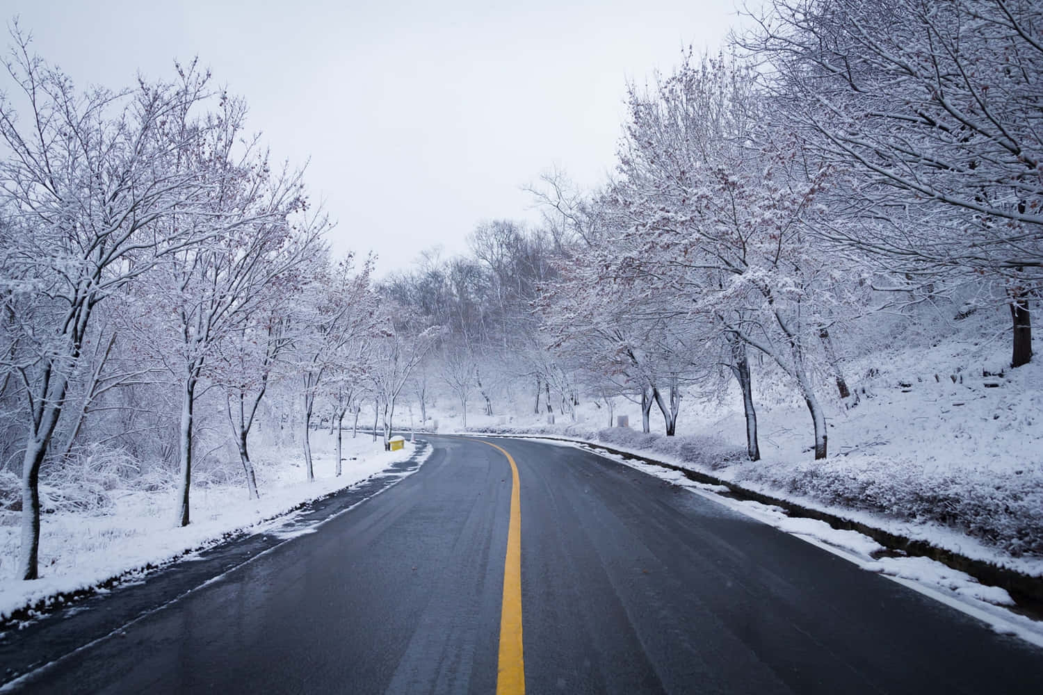 Tranquil Snow-covered Road Wallpaper