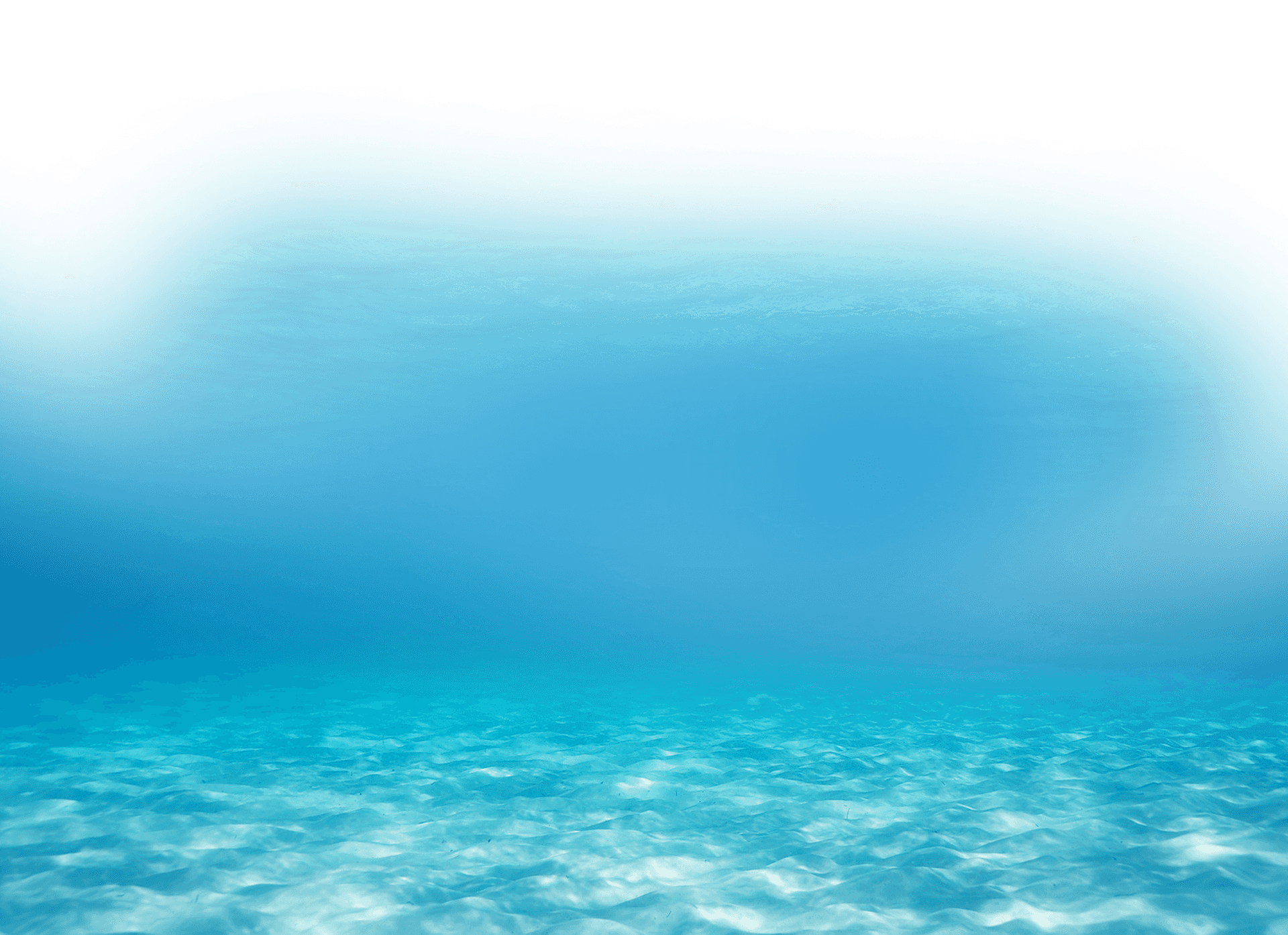 Tranquil Underwater Scene PNG