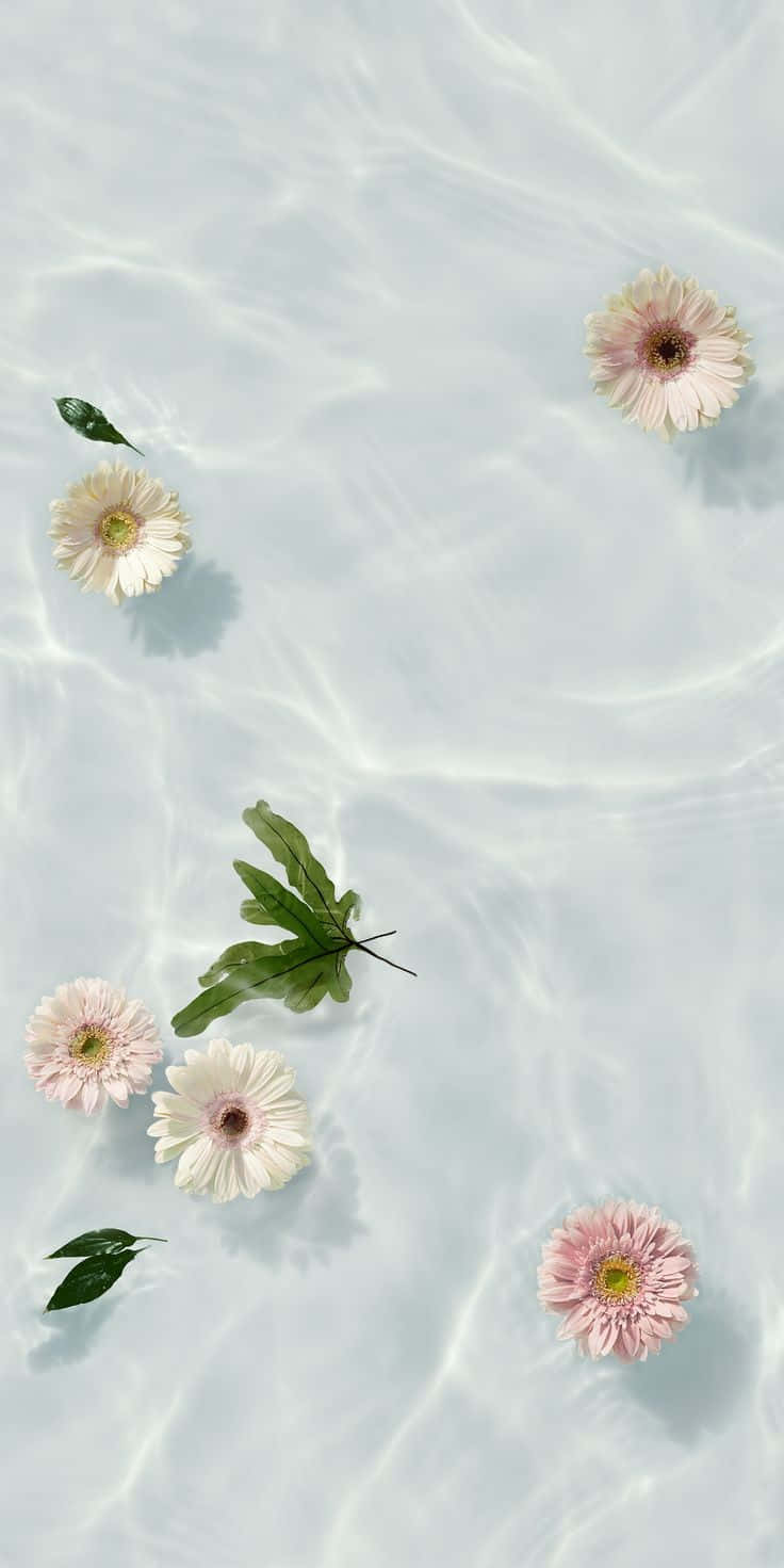 Tranquil_ Water_ Flowers_ Aesthetic.jpg Wallpaper