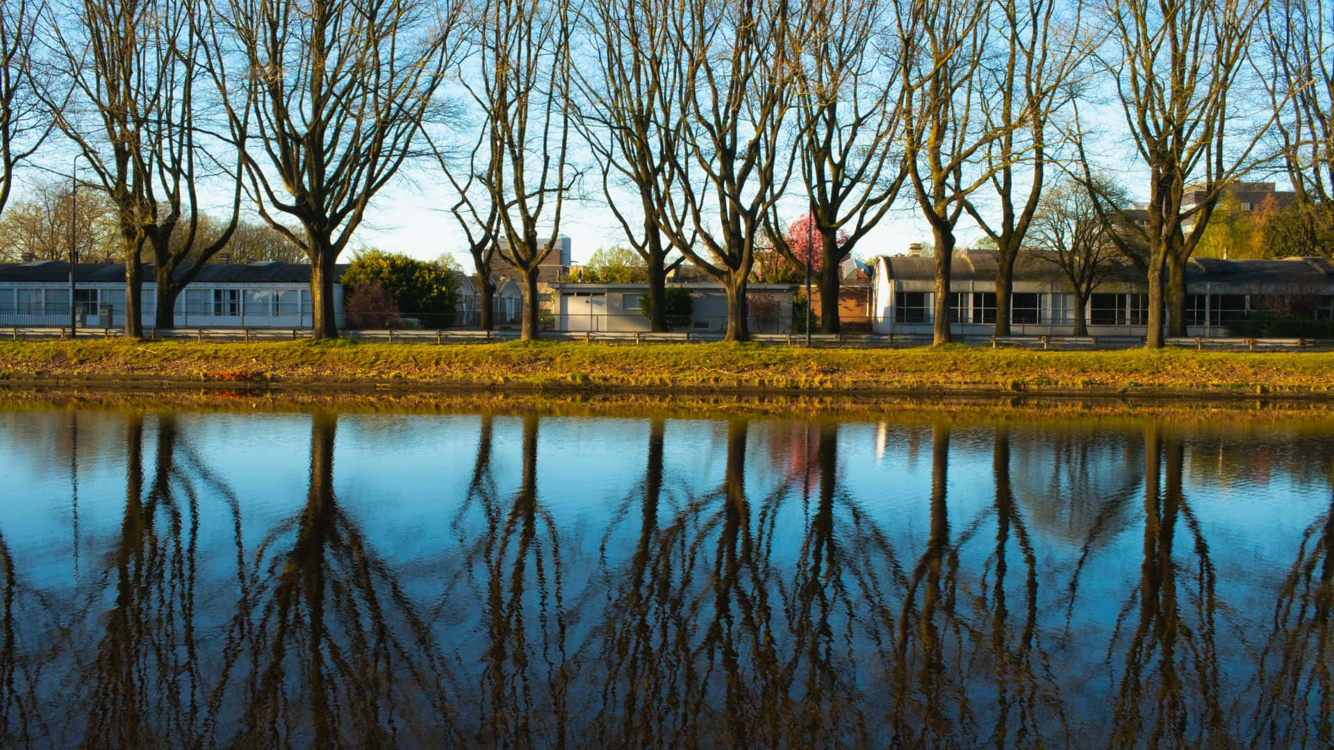 Tranquil Waterfront Reflections Oosterhout Wallpaper