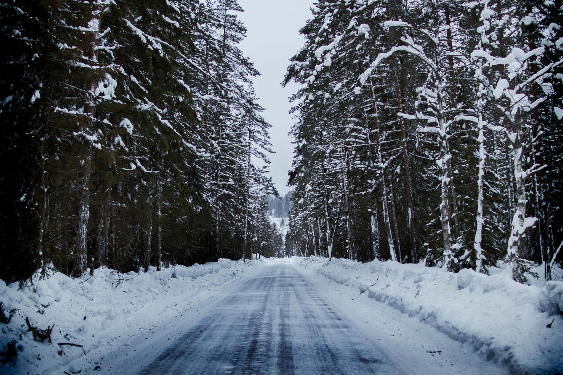 Tranquil Winter Journey - A Snowy Road Wallpaper