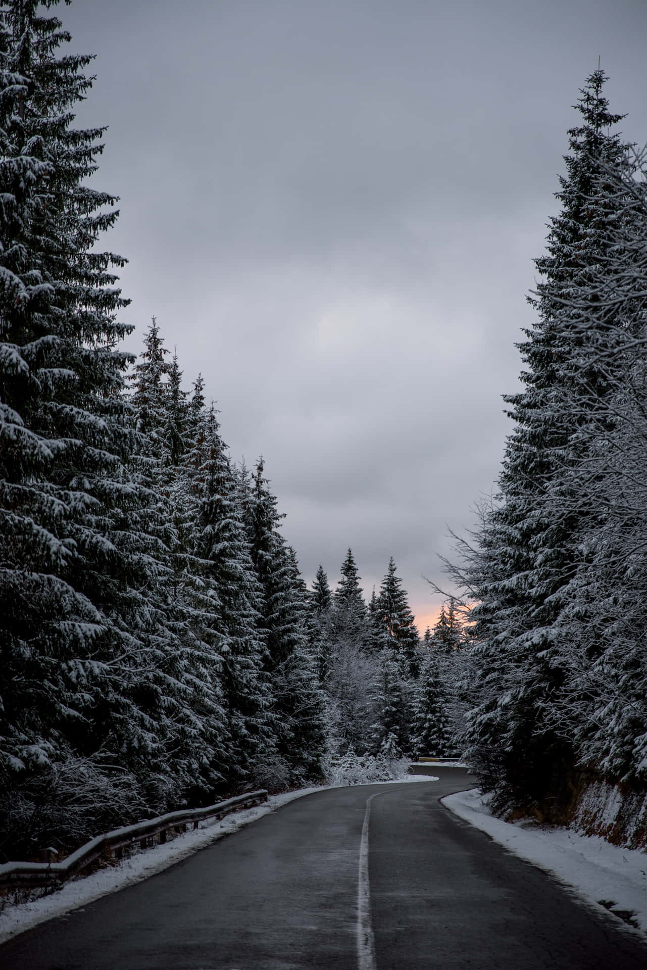 Tranquil Winter Serenity On A Snowy Road Wallpaper