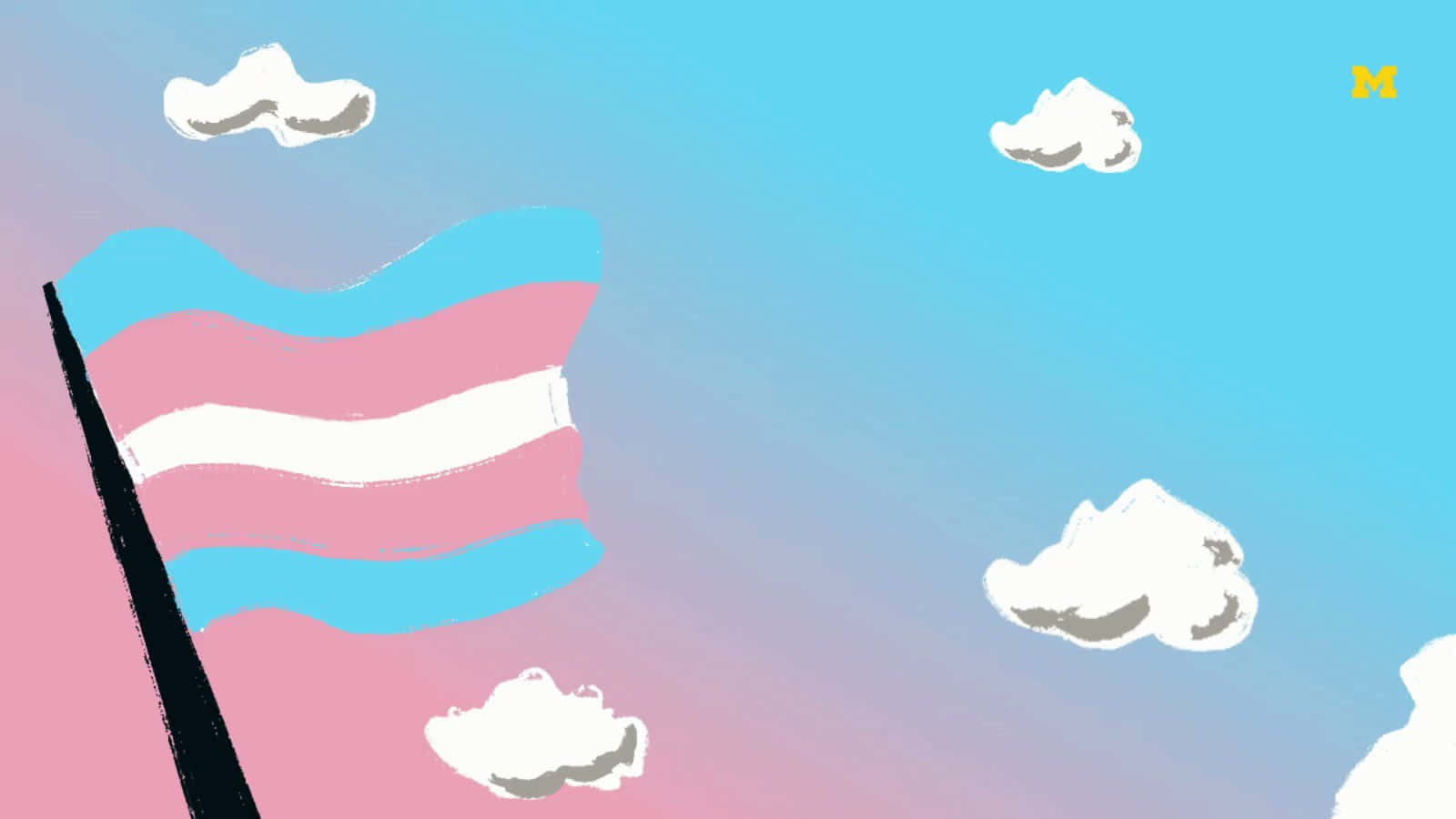 Aesthetic Transgender Pride Flag Waves in the Wind