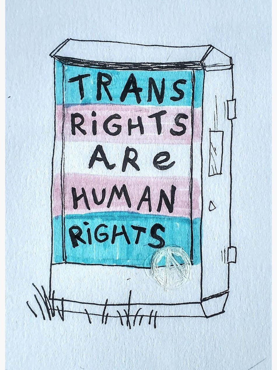 Trans Rights Are Human Rights Drawing Wallpaper