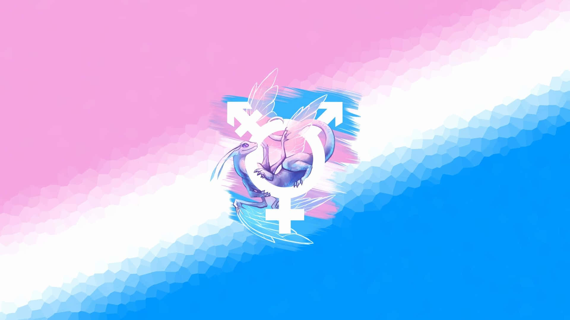 Trans Symbol With A Dragon Wallpaper