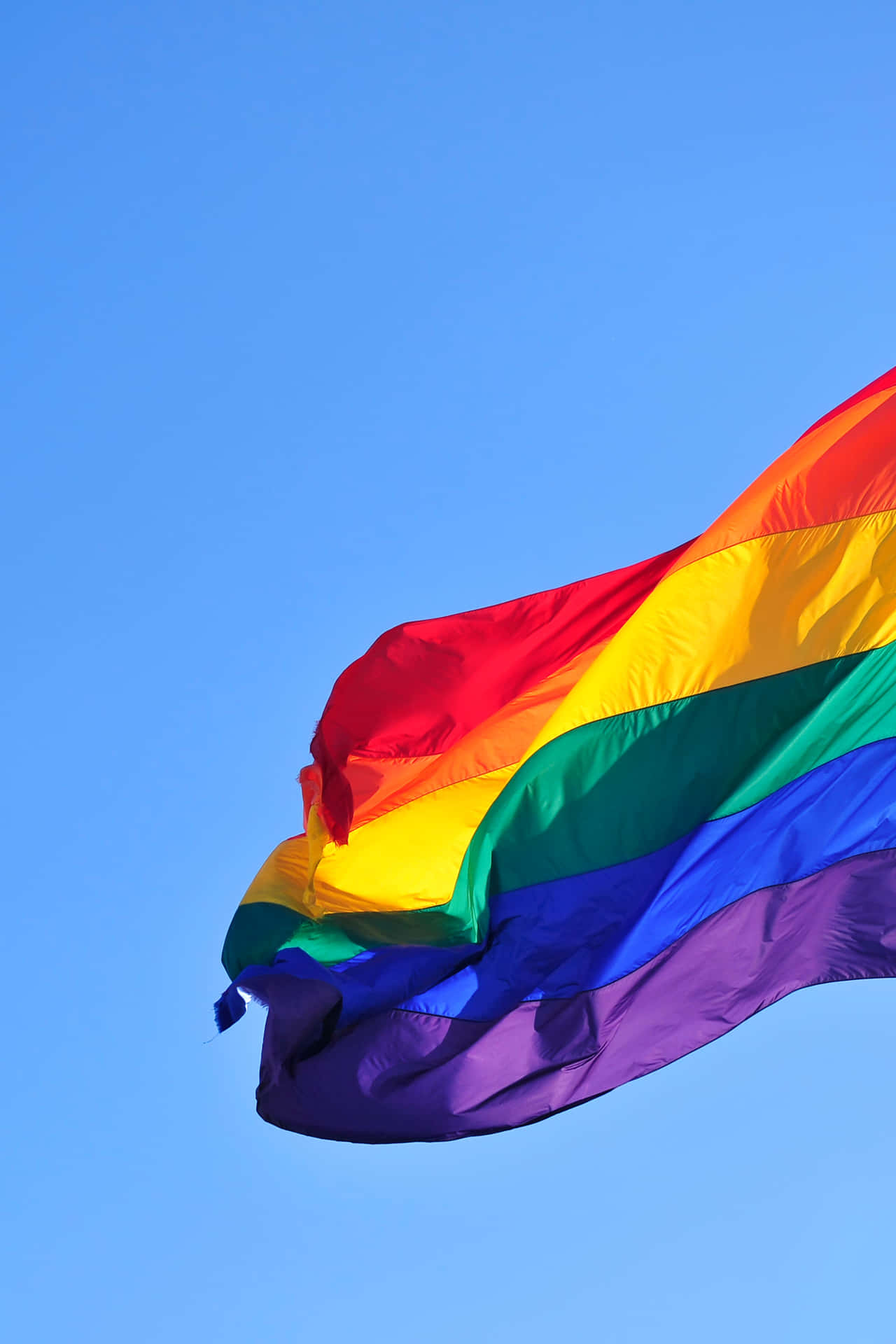 Rainbow Flag Flying In The Wind Wallpaper