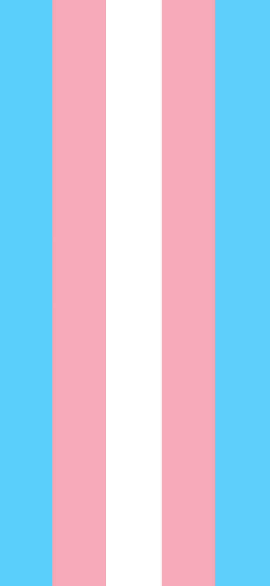 Trans Flag 1242 X 2688 Wallpaper