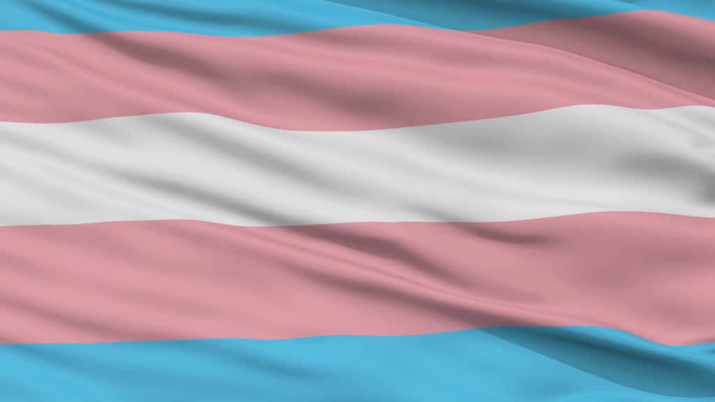 Celebrating Diversity & Pride - Trans Flag Wallpaper