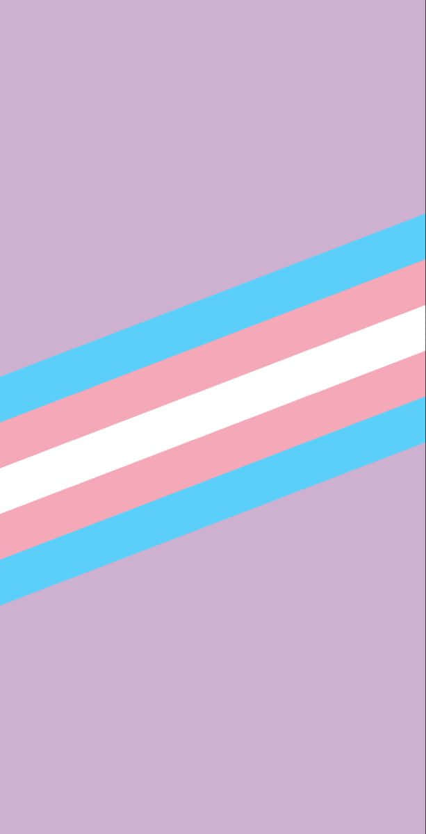 Unabandiera Transgender Con Una Striscia Blu, Rosa E Bianca Sfondo