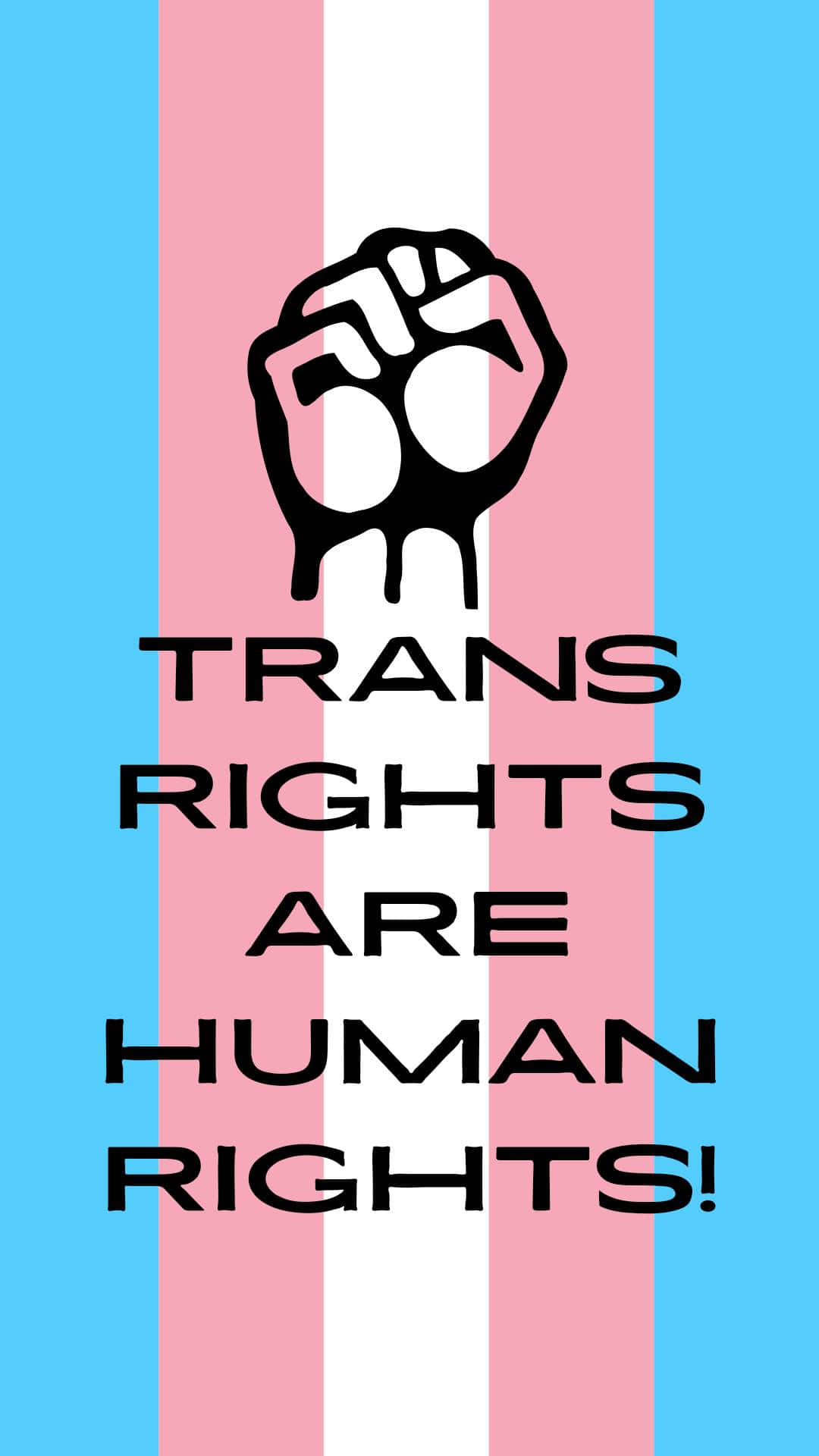 Trans Rights Are Human Rights Flag Wallpaper