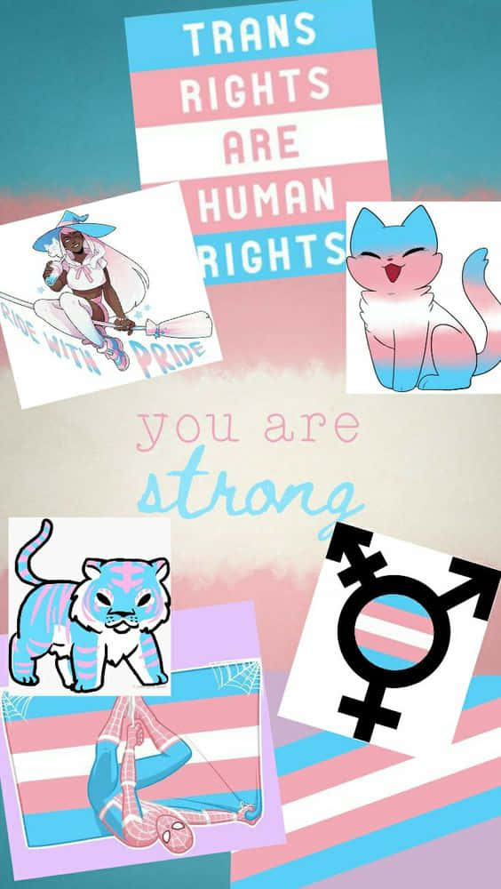 Losderechos Trans Son Derechos Humanos, Eres Valioso. Fondo de pantalla