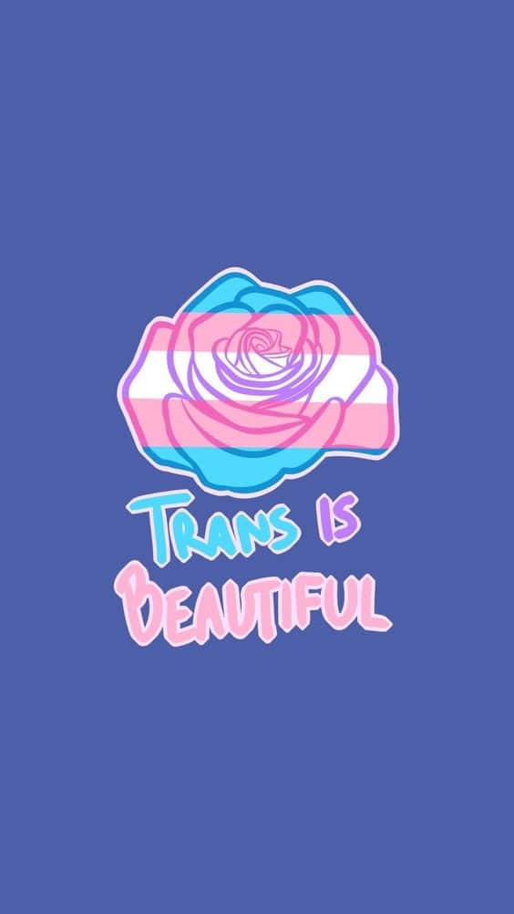 Trans Is Beautiful - Tumblr Wallpaper