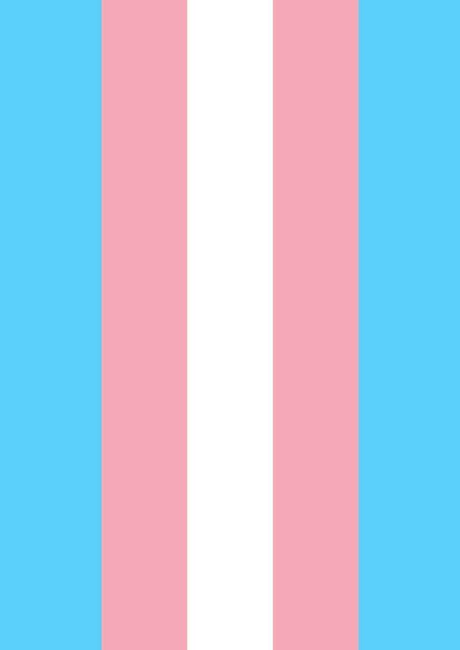 Bandieratransgender Su Sfondo Blu E Bianco Sfondo