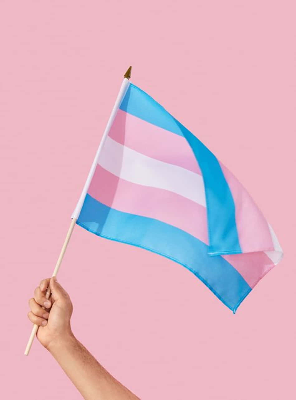 Transgender Flag Held Up High Trans Phone Picture