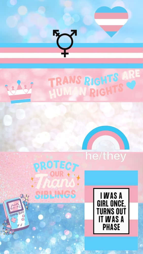 Haltedeine Gespräche Sicher Mit Trans Phone Wallpaper