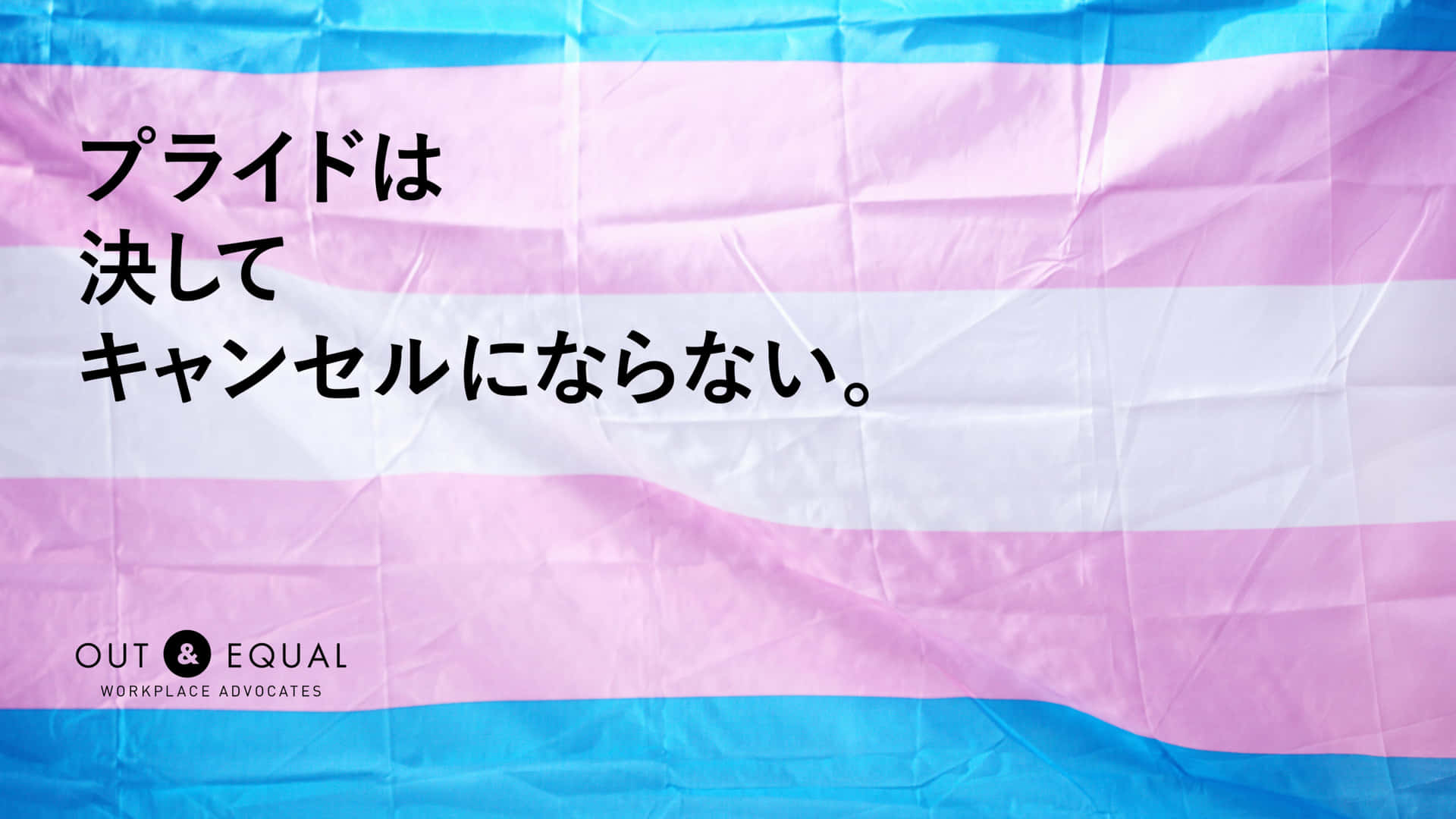 Einetransgender-flagge Mit Den Worten 'transgender' Wallpaper