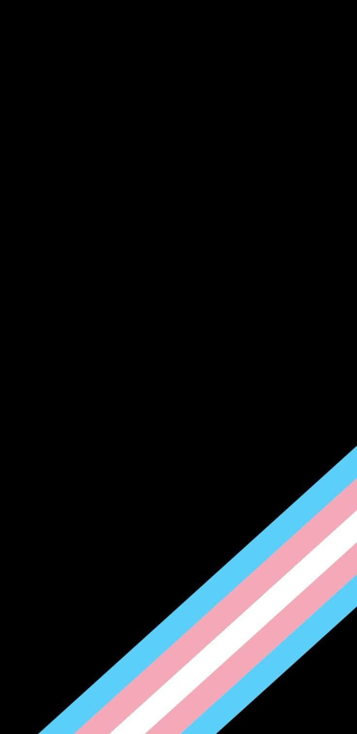 Einetransgender-flagge Mit Einem Pinken, Blauen Und Weißen Streifen Wallpaper
