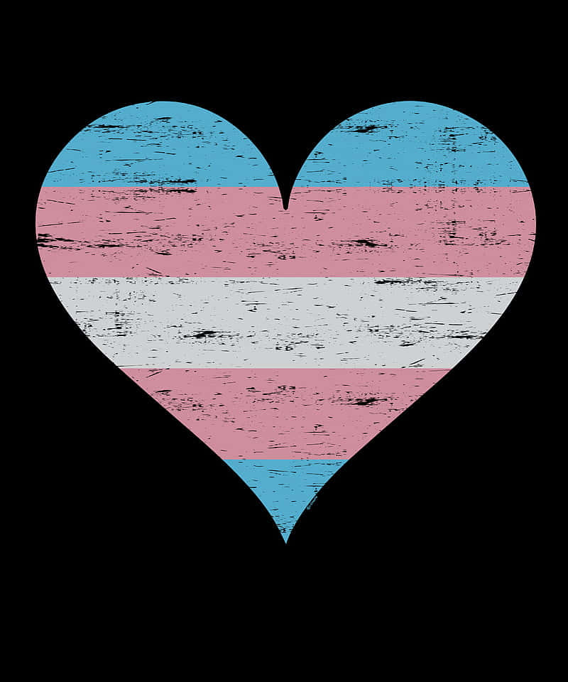 Ilustraciónvectorial De Un Corazón Con La Bandera De Transexualidad Fondo de pantalla