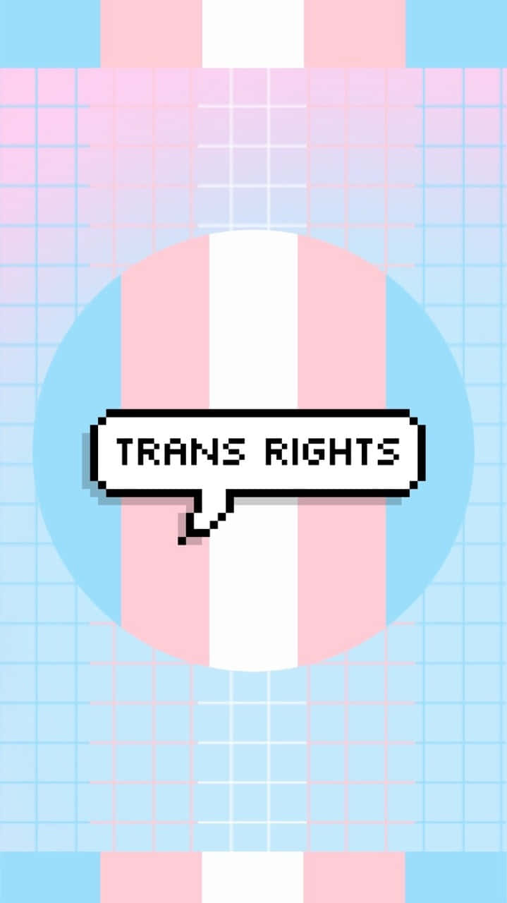 ¡celebrael Orgullo Trans! Fondo de pantalla