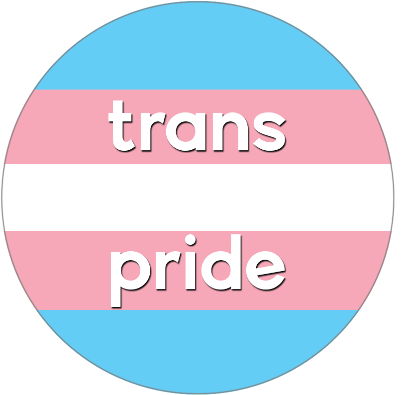 Trans Pride Flag Graphic PNG