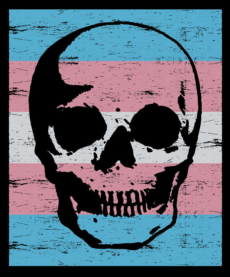 En skull med en transgenderflag på det. Wallpaper