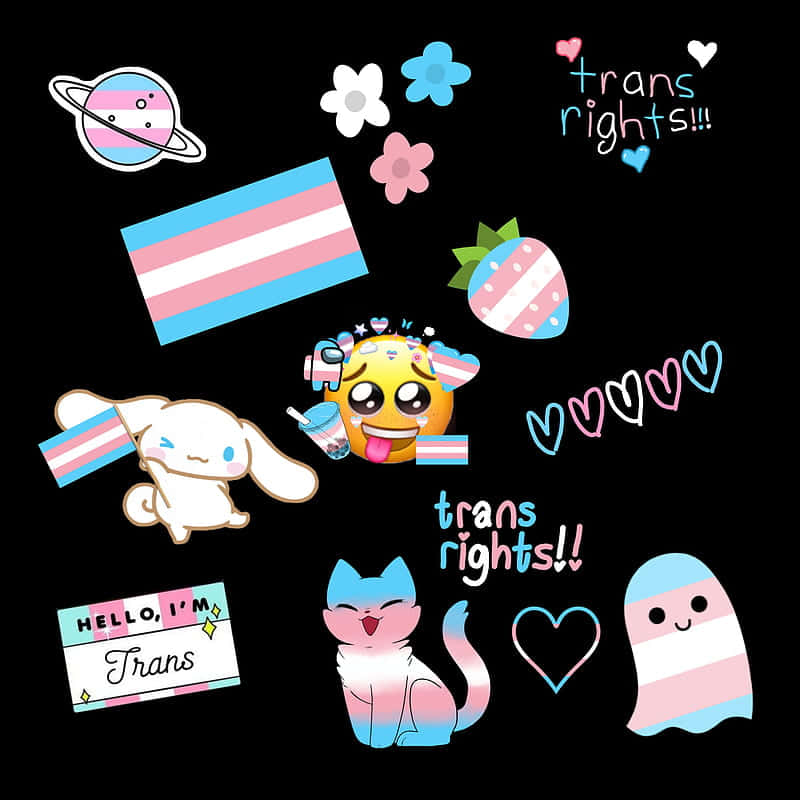 Transgender stickers fra sassy sassy. Wallpaper