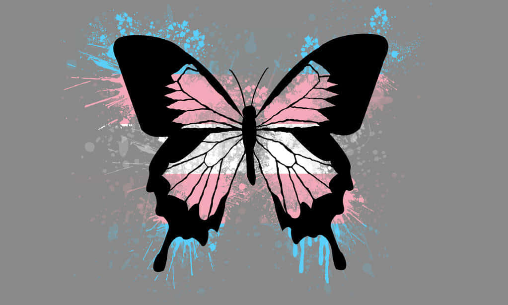 A Butterfly With Pink And Blue Paint Splatters On A Gray Background Wallpaper