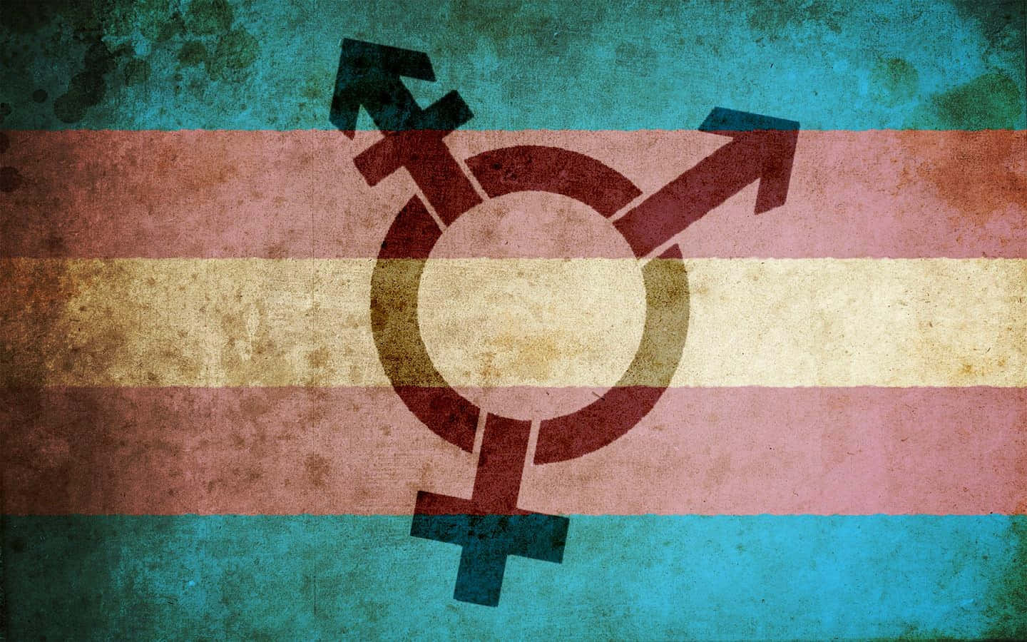 Transpersoner fejrer inklusivitet og diversitet. Wallpaper
