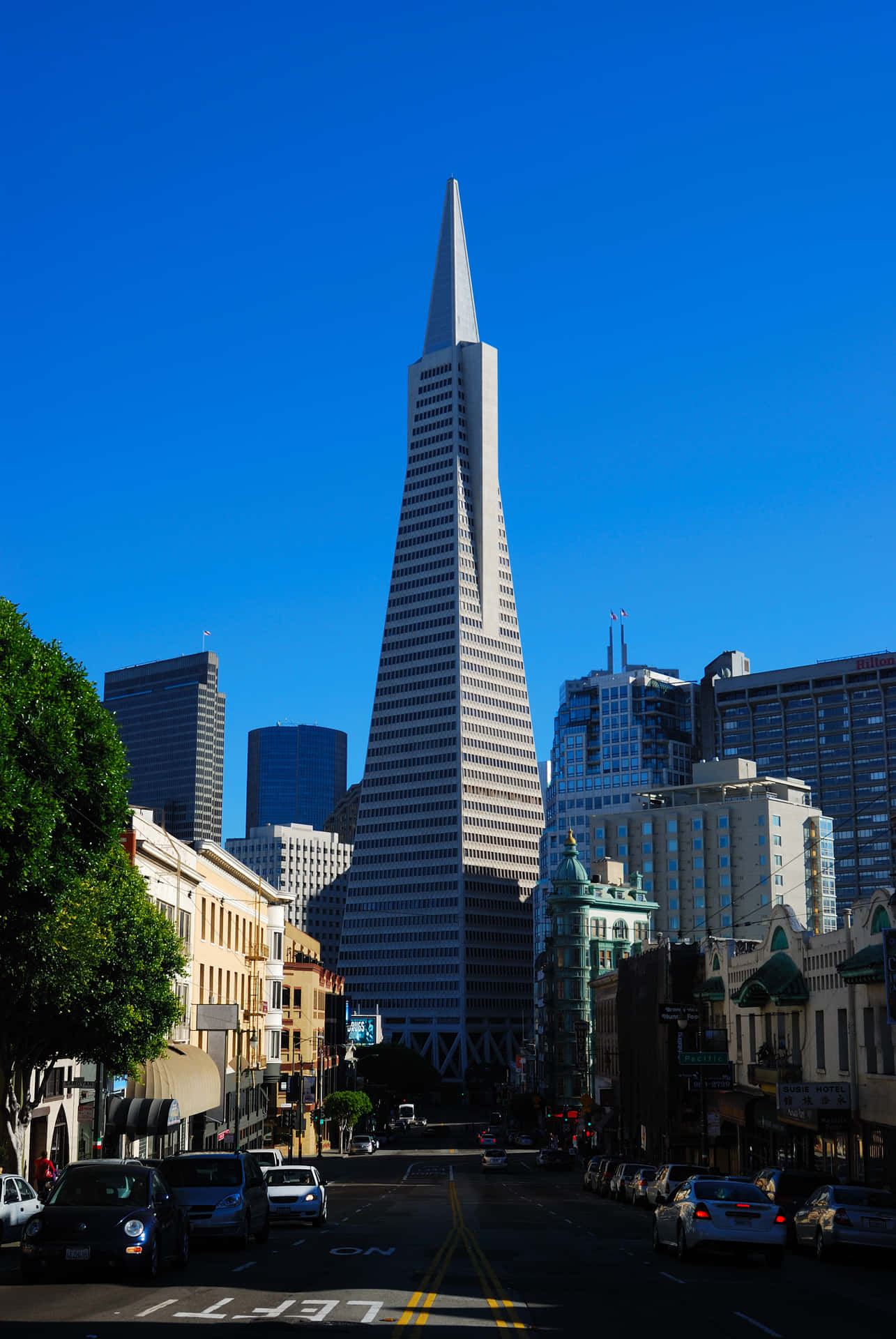 Transamerica Pyramid At The Center Of The Road Wallpaper