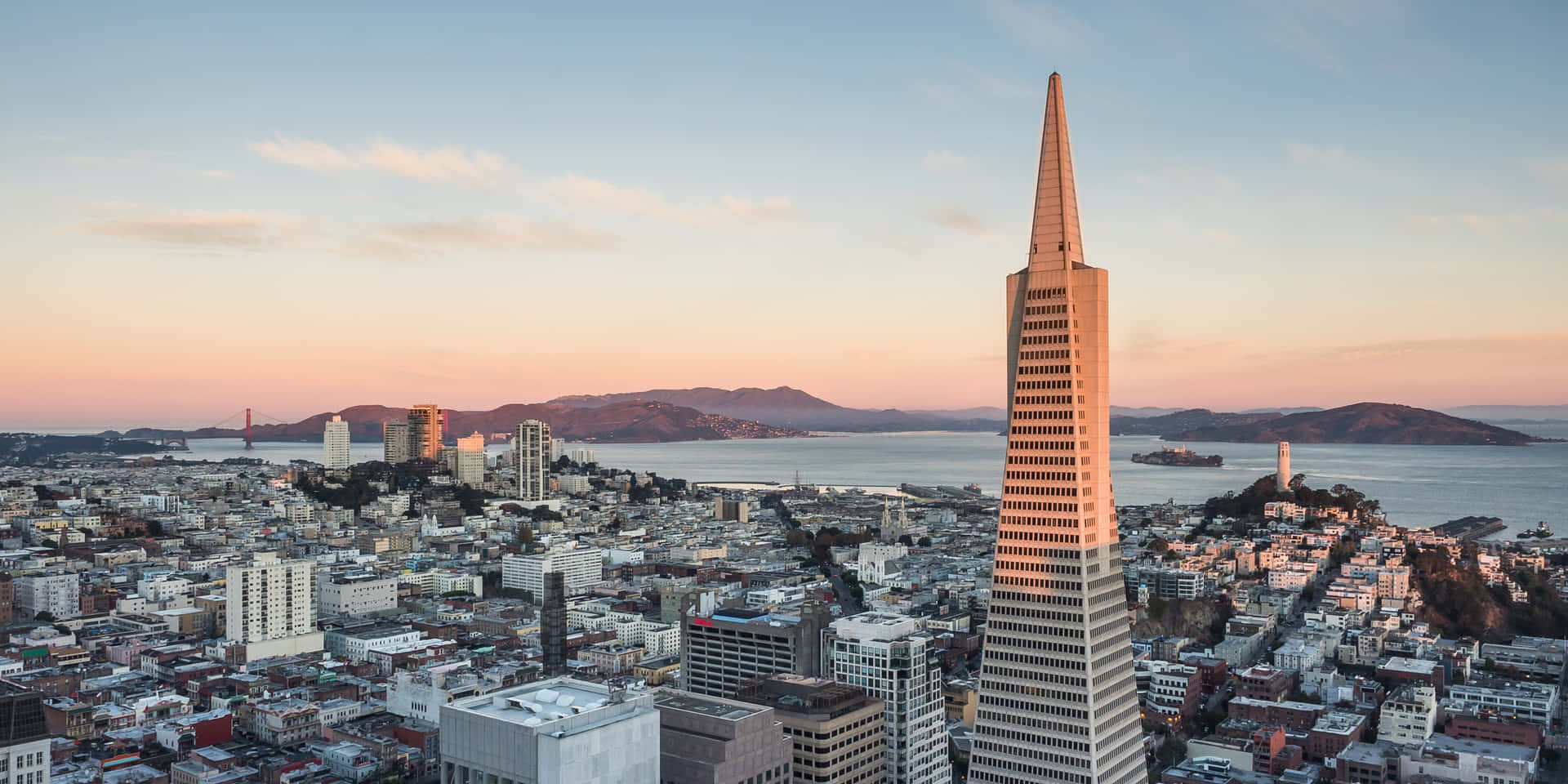 Transamerica Pyramid Standing Out Proudly Wallpaper