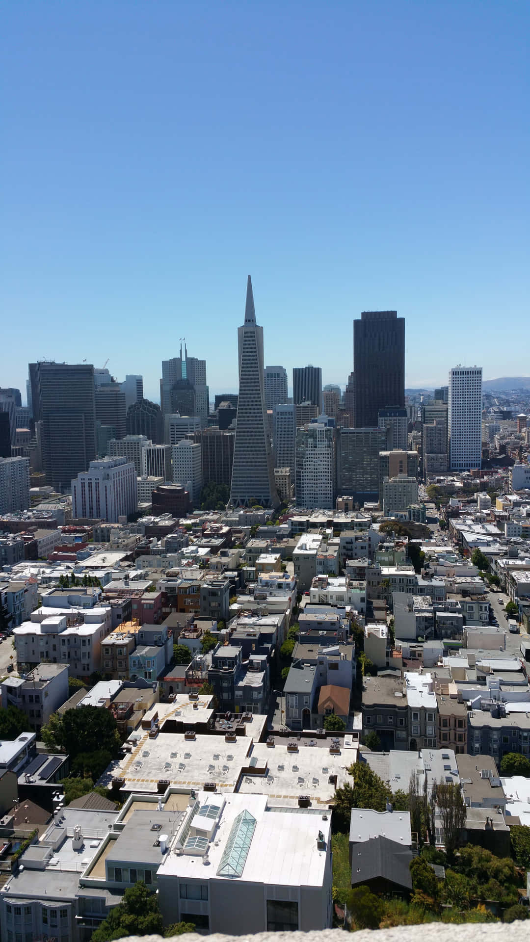 Transamerica Pyramid Stands Out Against Other Buildings Wallpaper