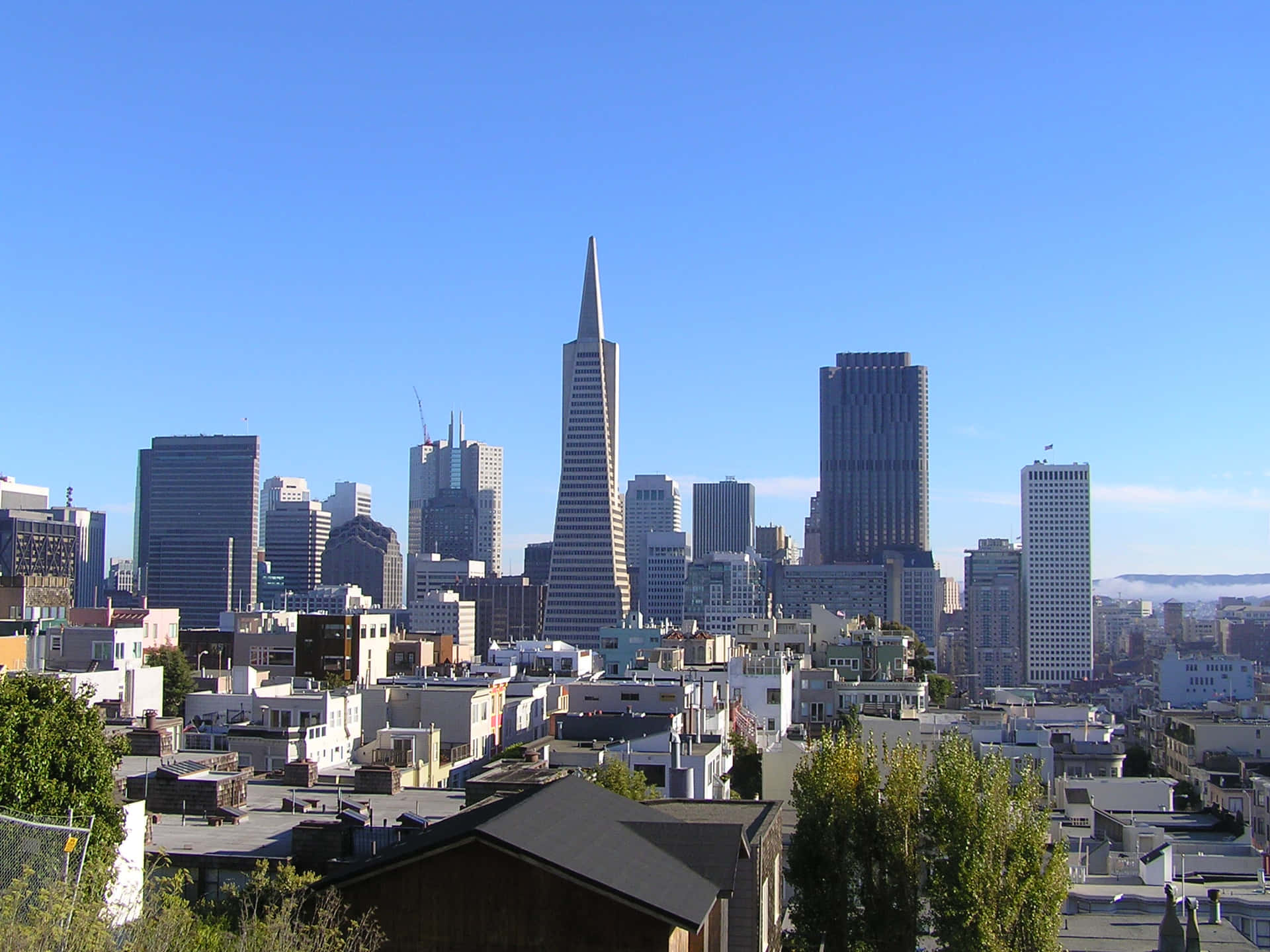Transamerica Pyramid Stands Out Brilliantly Wallpaper
