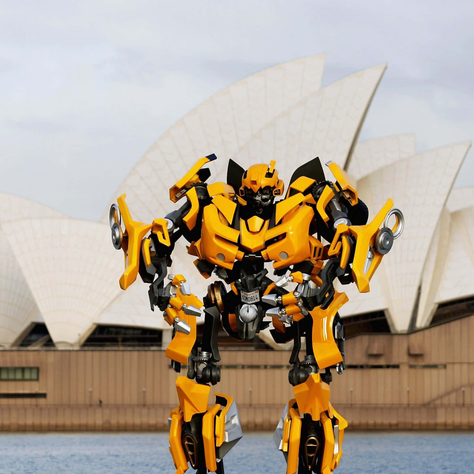 Transformer Bumblebee Pictures