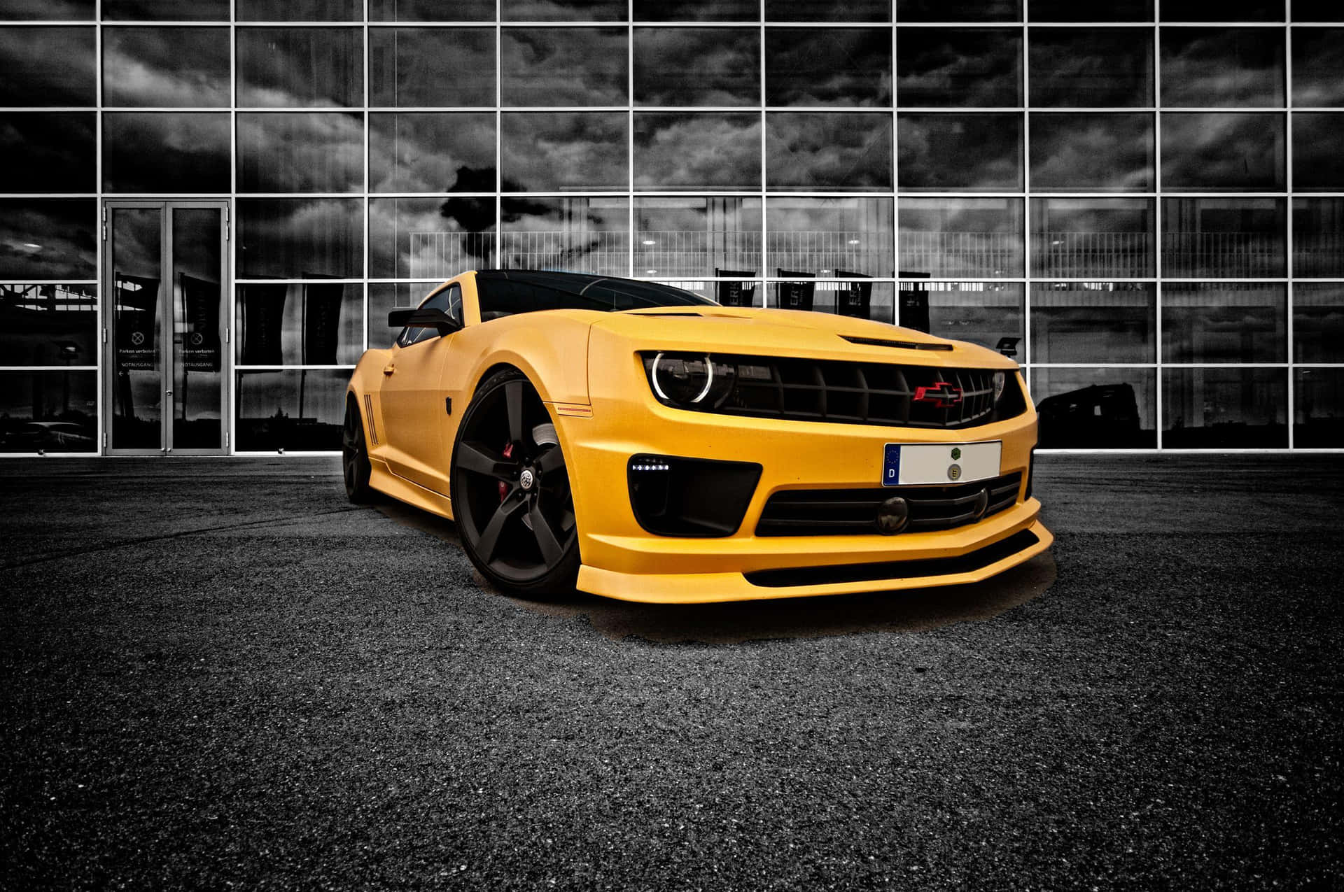 Fast and Fearless Bumblebee Wallpaper