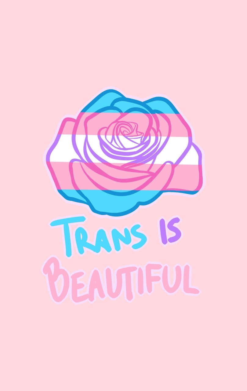 Transgender Is Beautiful Wallpaper