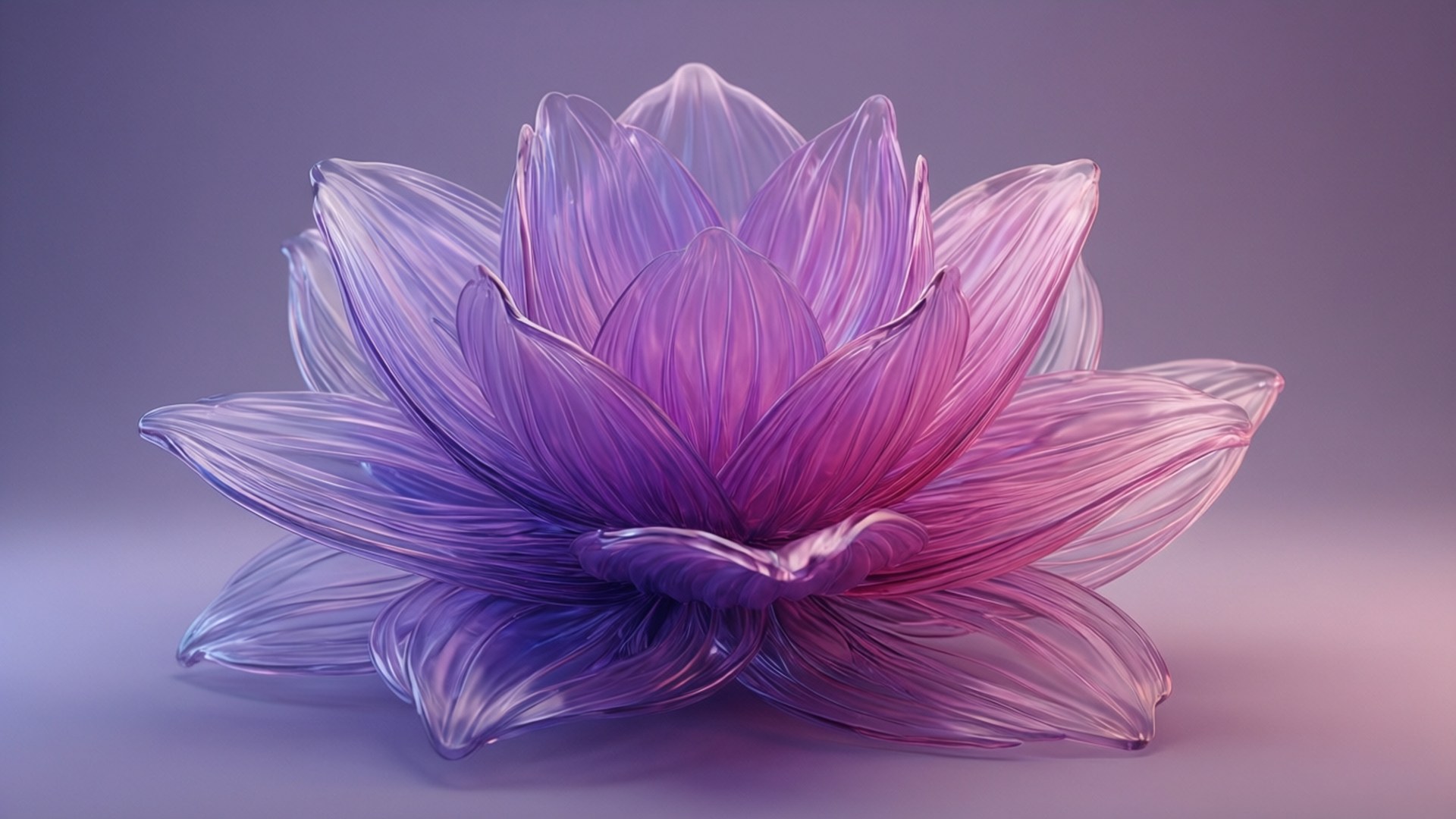 Fiore Traslucido Sfondi