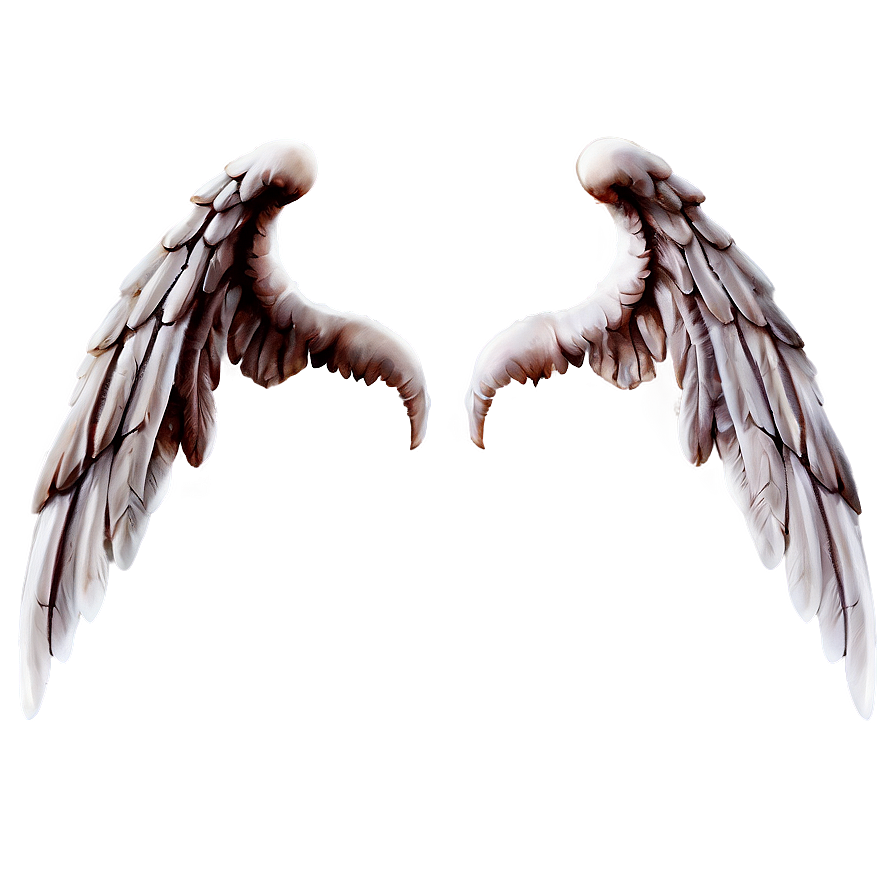 Transparent Angel Wings Design Png Wnr PNG